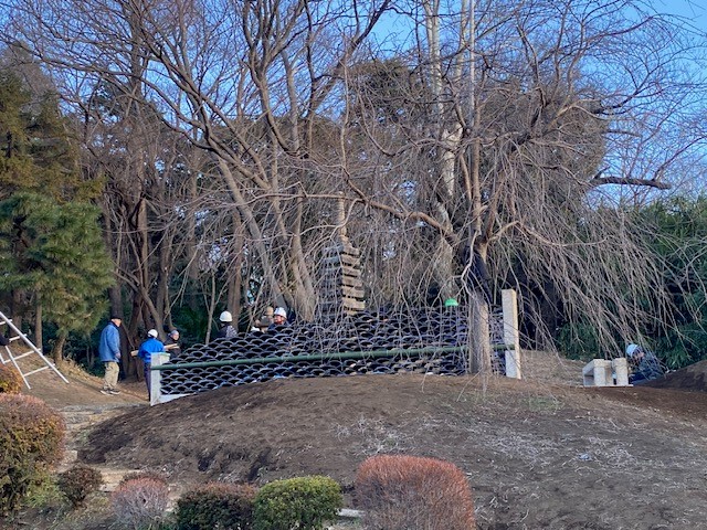 日本庭園　４